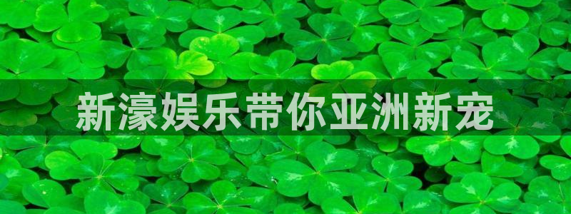 k8凯发登录网：新濠娱乐带你亚洲新宠