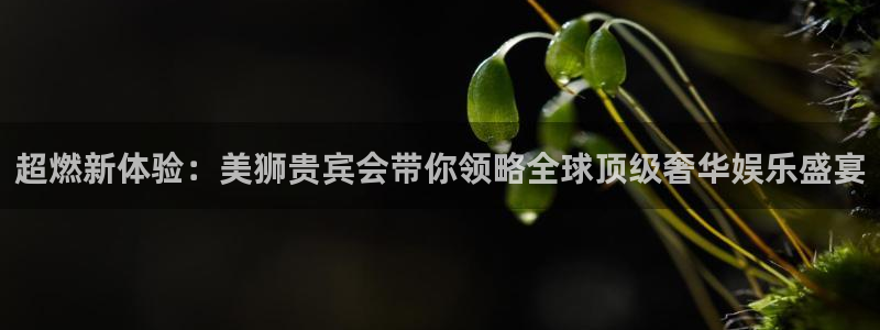 k8凯发(com.youad.authst)：超燃新体验：美狮贵宾会带你领略全球顶级奢华娱乐盛宴