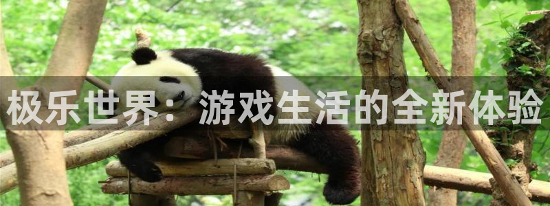 凯发k8真实：极乐世界：游戏生活的全新体验