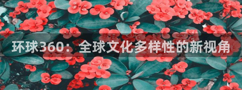 k8凯发app下载地址：环球360：全球文化多样性的新视角