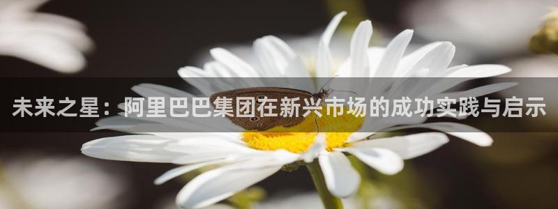 壹号电子娱乐app下载最新版本：未来之星：阿里巴巴集团在新兴市场的成功实践与启示