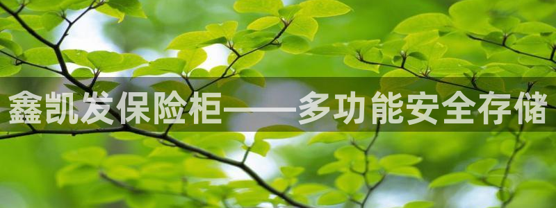 凯发在线官网：鑫凯发保险柜——多功能安全存储