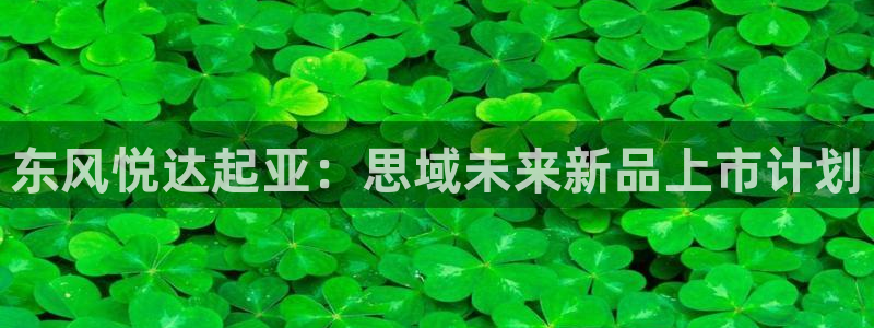 k8凯发账号注册：东风悦达起亚：思域未来新品上市计划