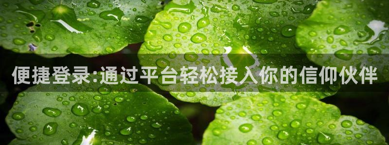 壹号大舞台娱乐app下载安装：便捷登录:通过平台轻松接入你的信仰伙伴