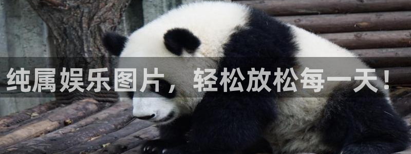 凯发k8国际：纯属娱乐图片，轻松放松每一天！