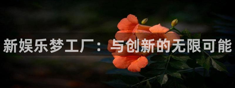 k8凯发官网