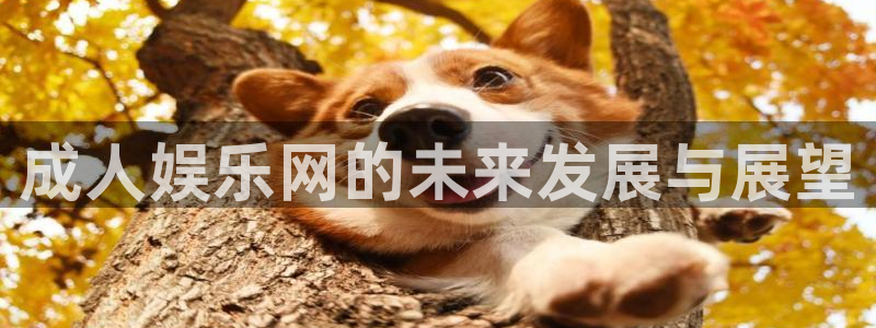 凯发k8官网下载