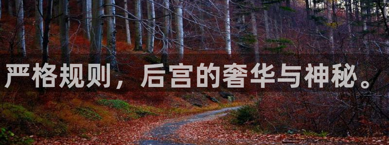 壹号电子娱乐app：严格规则，后宫的奢华与神秘。