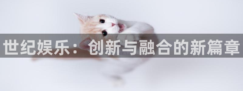 k8凯发平台官网入口