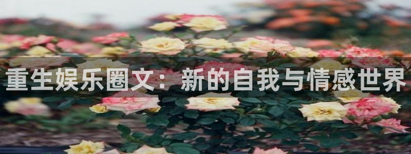 k8凯发是真的吗：重生娱乐圈文：新的自我与情感世界