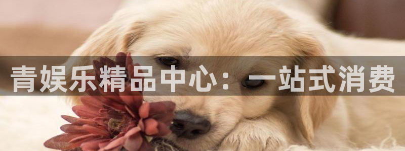 k8凯发官方网站下载：青娱乐精品中心：一站式消费