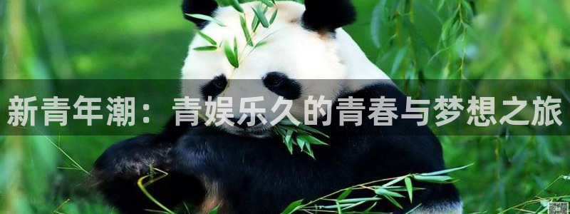 k8凯发下载：新青年潮：青娱乐久的青春与梦想之旅