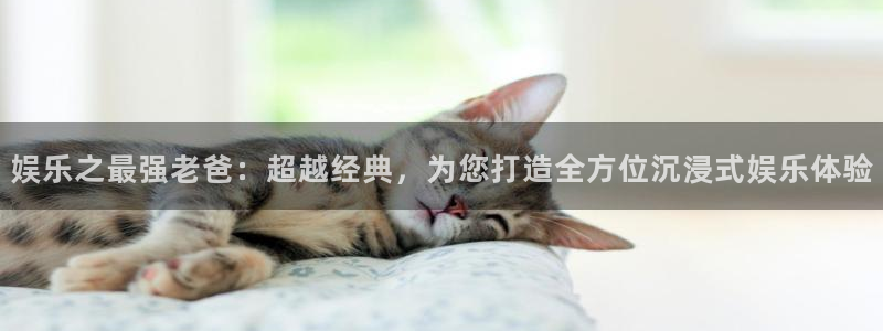 k8凯发app下载地址：娱乐之最强老爸：超越经典，为您打造全方位沉浸式娱乐体验