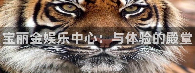 无锡凯发苑六期：宝丽金娱乐中心：与体验的殿堂
