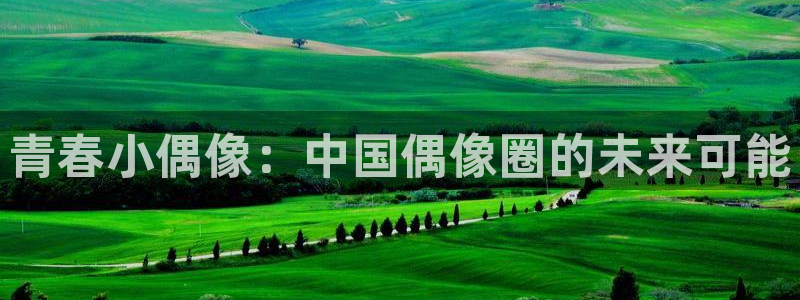 凯发官网平台：青春小偶像：中国偶像圈的未来可能