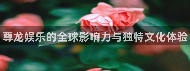 凯发电气股市：尊龙娱乐的全球影响力与独特文化体验