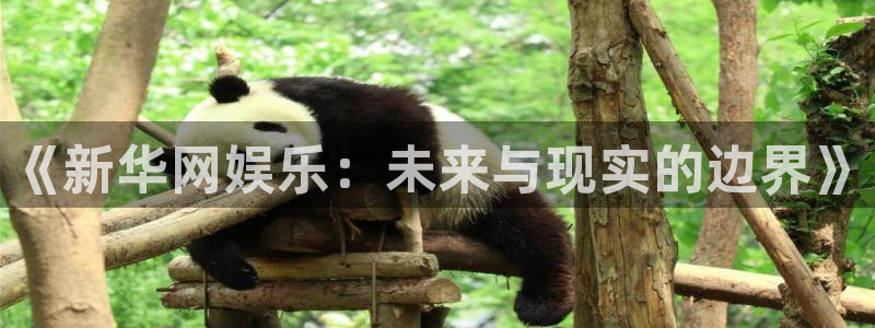 k8凯发首页登录：《新华网娱乐：未来与现实的边界》