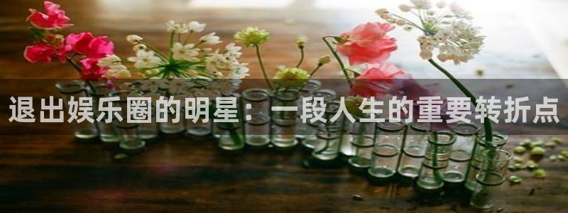 壹号app官网：退出娱乐圈的明星：一段人生的重要转折点