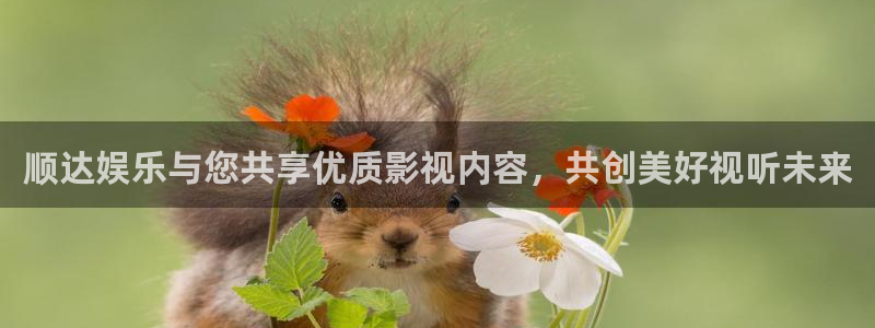凯发天生赢家一触即发首页：顺达娱乐与您共享优质影视内容，共创美好视听未来