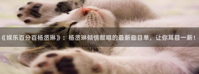 德国凯发kafer：《娱乐百分百杨丞琳》：杨丞琳倾情献唱的最新曲目单，让你耳目一新！