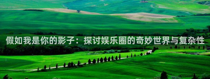 k8凯发强制退款流程详解：假如我是你的影子：探讨娱乐圈的奇妙世界与复杂性