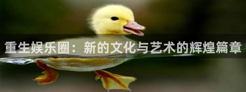 k8凯发app：重生娱乐圈：新的文化与艺术的辉煌篇章