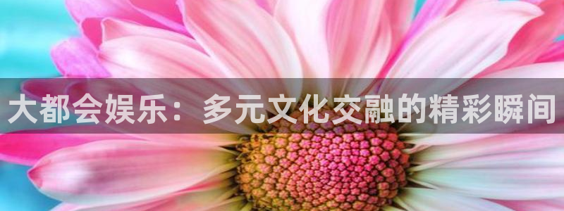 k8凯发账号注册：大都会娱乐：多元文化交融的精彩瞬间