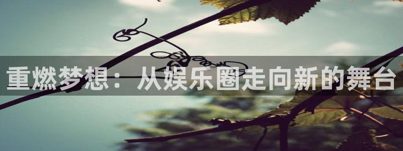 南宫k8凯发官网下载链接：重燃梦想：从娱乐圈走向新的舞台