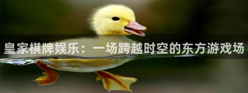 凯发精英体育：皇家棋牌娱乐：一场跨越时空的东方游戏场