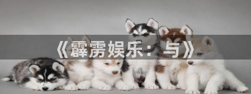 凯发k8国际：《霹雳娱乐：与》