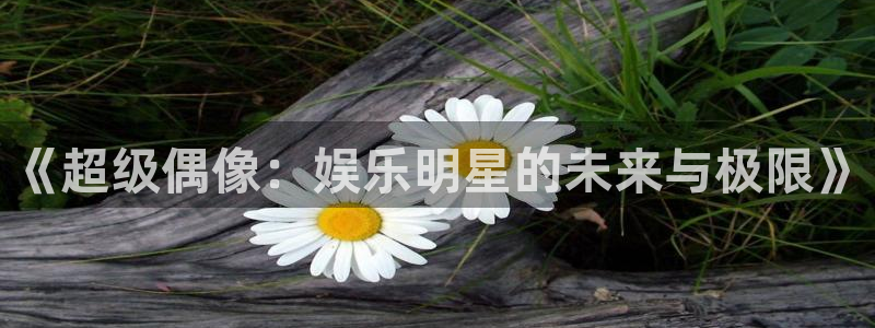 凯发真人手机版：《超级偶像：娱乐明星的未来与极限》