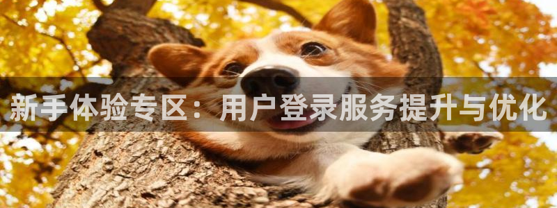 凯发新泉水务(常熟)有限公司：新手体验专区：用户登录服务提升与优化